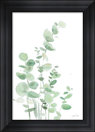 Framed Eucalyptus I Print