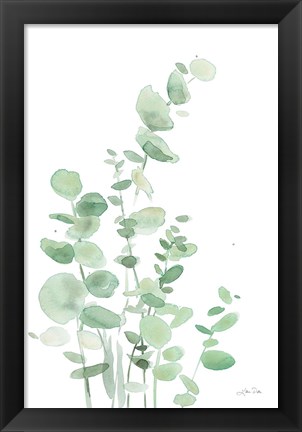 Framed Eucalyptus I Print