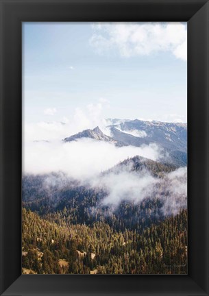 Framed Hurricane Ridge I Print