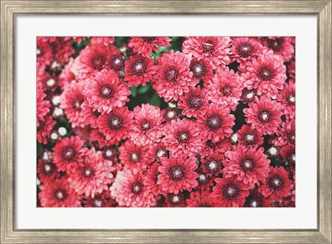 Framed Autumn Flowers I Print