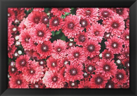 Framed Autumn Flowers I Print