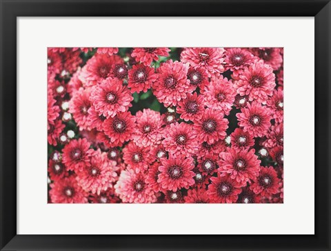 Framed Autumn Flowers I Print