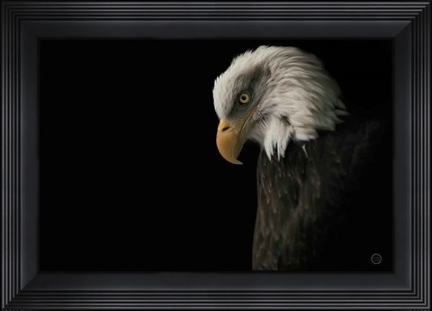 Framed Eagle Bow Print