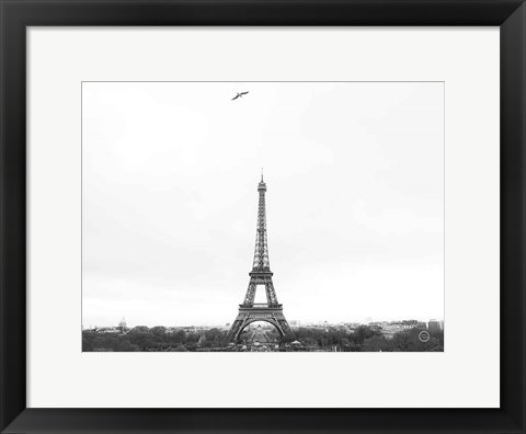 Framed Birds View of Paris Print