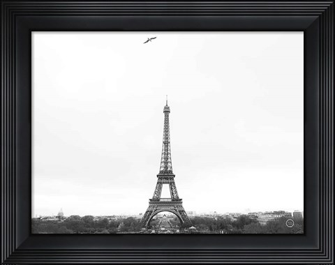 Framed Birds View of Paris Print