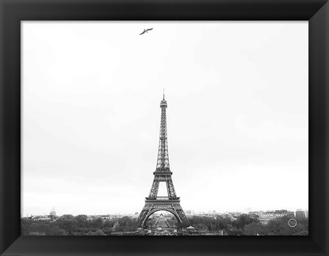 Framed Birds View of Paris Print