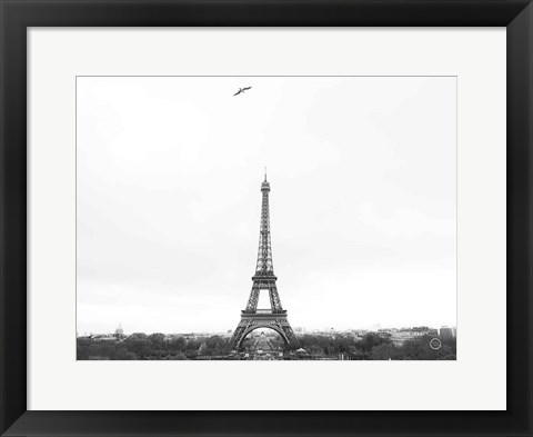 Framed Birds View of Paris Print