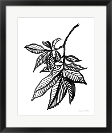 Framed Ink Leaves Print