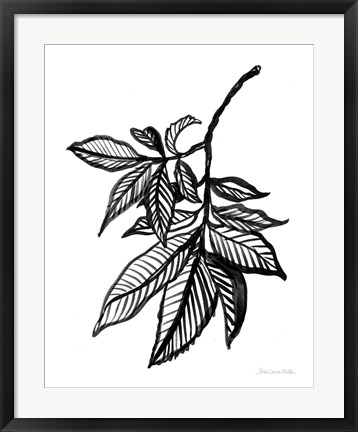 Framed Ink Leaves Print