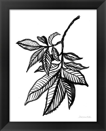 Framed Ink Leaves Print