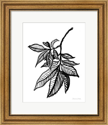 Framed Ink Leaves Print