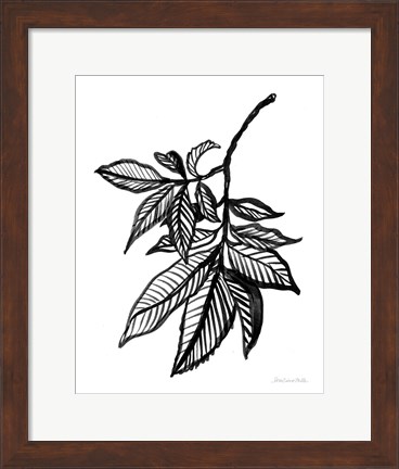 Framed Ink Leaves Print
