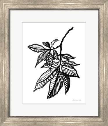 Framed Ink Leaves Print