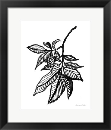 Framed Ink Leaves Print