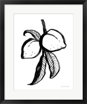 Framed Ink Peaches Print