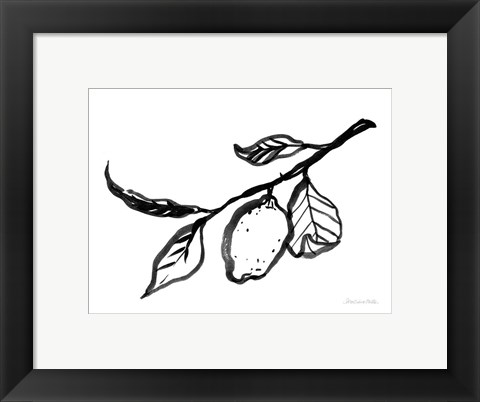 Framed Ink Lemon Print