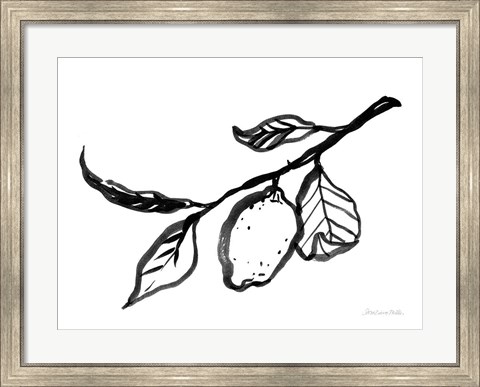 Framed Ink Lemon Print