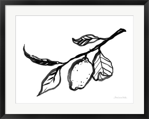 Framed Ink Lemon Print