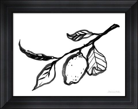 Framed Ink Lemon Print