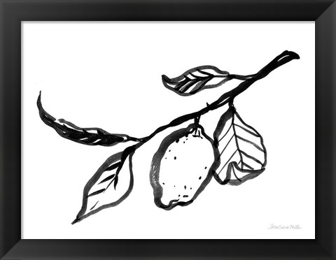 Framed Ink Lemon Print