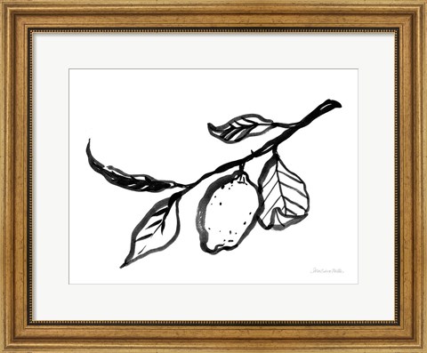 Framed Ink Lemon Print