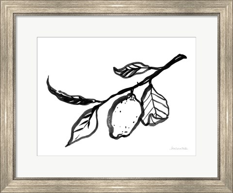 Framed Ink Lemon Print