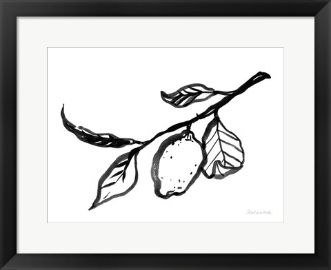 Framed Ink Lemon Print