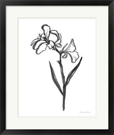 Framed Ink Flower II Print