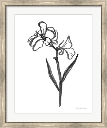 Framed Ink Flower II Print