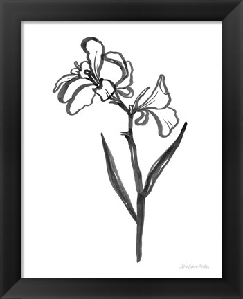 Framed Ink Flower II Print