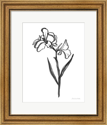 Framed Ink Flower II Print