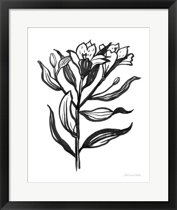 Framed Ink Flower I Print