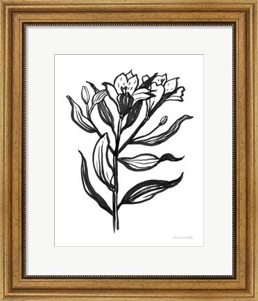 Framed Ink Flower I Print