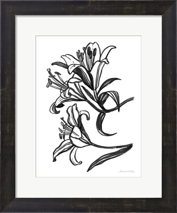 Framed Ink Lilies II Print