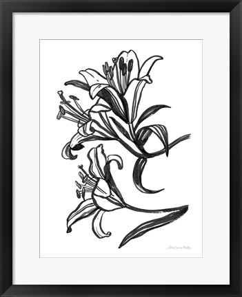 Framed Ink Lilies II Print