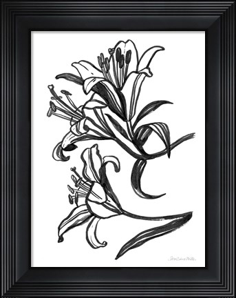 Framed Ink Lilies II Print
