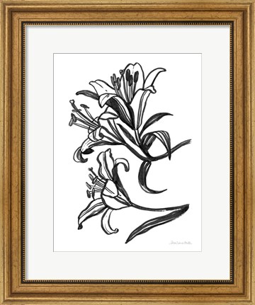 Framed Ink Lilies II Print