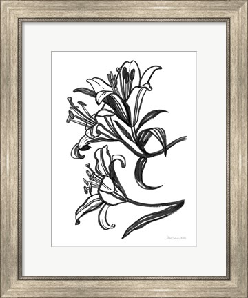 Framed Ink Lilies II Print