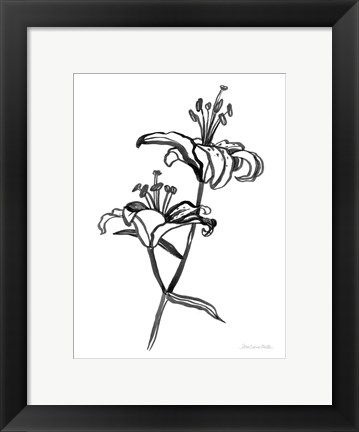 Framed Ink Lilies I Print