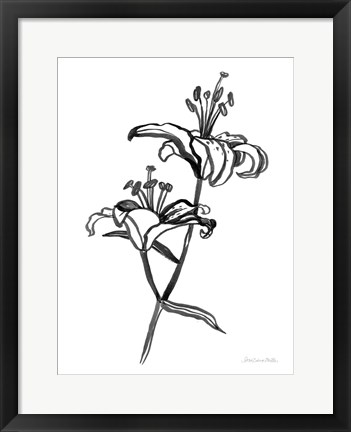 Framed Ink Lilies I Print