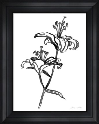 Framed Ink Lilies I Print