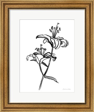 Framed Ink Lilies I Print