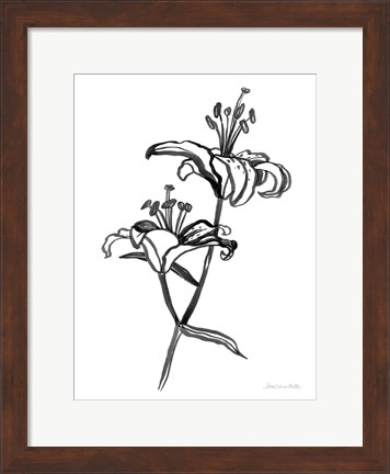 Framed Ink Lilies I Print