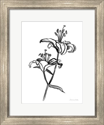 Framed Ink Lilies I Print