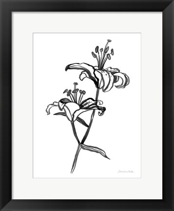 Framed Ink Lilies I Print