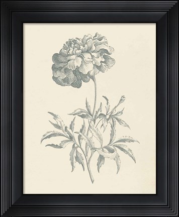 Framed Eden Floral II Print