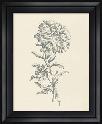 Framed Eden Floral I Print