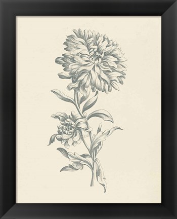 Framed Eden Floral I Print