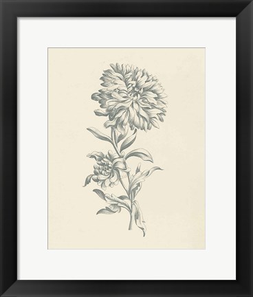 Framed Eden Floral I Print