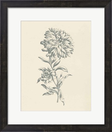 Framed Eden Floral I Print